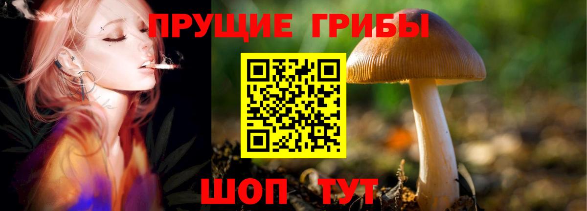 Галлюциногенные грибы мухоморы Изобильный
